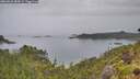 ./images/calvert/foggy-cove/20260626/foggy-cove20260626_084501M.jpg