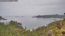 ./images/calvert/foggy-cove/20260626/foggy-cove20260626_085501M.jpg