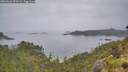 ./images/calvert/foggy-cove/20260626/foggy-cove20260626_090502M.jpg