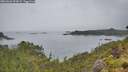 ./images/calvert/foggy-cove/20260626/foggy-cove20260626_093001M.jpg