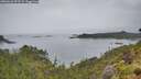 ./images/calvert/foggy-cove/20260626/foggy-cove20260626_093501M.jpg