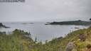 ./images/calvert/foggy-cove/20260626/foggy-cove20260626_094502M.jpg