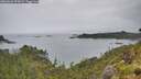 ./images/calvert/foggy-cove/20260626/foggy-cove20260626_095001M.jpg