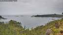 ./images/calvert/foggy-cove/20260626/foggy-cove20260626_095501M.jpg