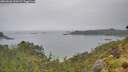 ./images/calvert/foggy-cove/20260626/foggy-cove20260626_100501M.jpg
