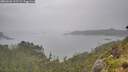./images/calvert/foggy-cove/20260626/foggy-cove20260626_102501M.jpg
