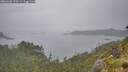 ./images/calvert/foggy-cove/20260626/foggy-cove20260626_103501M.jpg