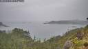 ./images/calvert/foggy-cove/20260626/foggy-cove20260626_104001M.jpg