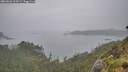 ./images/calvert/foggy-cove/20260626/foggy-cove20260626_104502M.jpg
