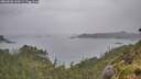 ./images/calvert/foggy-cove/20260626/foggy-cove20260626_110501M.jpg