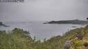 ./images/calvert/foggy-cove/20260626/foggy-cove20260626_111001M.jpg