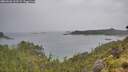 ./images/calvert/foggy-cove/20260626/foggy-cove20260626_112502M.jpg
