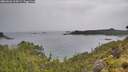 ./images/calvert/foggy-cove/20260626/foggy-cove20260626_113001M.jpg