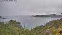 ./images/calvert/foggy-cove/20260626/foggy-cove20260626_114501M.jpg