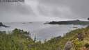 ./images/calvert/foggy-cove/20260626/foggy-cove20260626_115501M.jpg