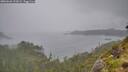 ./images/calvert/foggy-cove/20260626/foggy-cove20260626_122001M.jpg