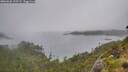 ./images/calvert/foggy-cove/20260626/foggy-cove20260626_135501M.jpg