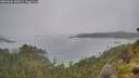 ./images/calvert/foggy-cove/20260626/foggy-cove20260626_140002M.jpg