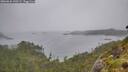 ./images/calvert/foggy-cove/20260626/foggy-cove20260626_140501M.jpg