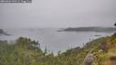 ./images/calvert/foggy-cove/20260626/foggy-cove20260626_141501M.jpg