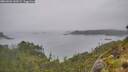 ./images/calvert/foggy-cove/20260626/foggy-cove20260626_142002M.jpg