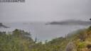 ./images/calvert/foggy-cove/20260626/foggy-cove20260626_143501M.jpg