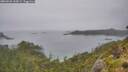 ./images/calvert/foggy-cove/20260626/foggy-cove20260626_144501M.jpg
