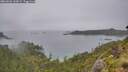 ./images/calvert/foggy-cove/20260626/foggy-cove20260626_145001M.jpg