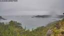 ./images/calvert/foggy-cove/20260626/foggy-cove20260626_145501M.jpg
