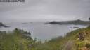 ./images/calvert/foggy-cove/20260626/foggy-cove20260626_150501M.jpg