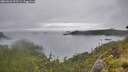 ./images/calvert/foggy-cove/20260626/foggy-cove20260626_153501M.jpg