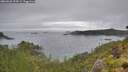 ./images/calvert/foggy-cove/20260626/foggy-cove20260626_154501M.jpg
