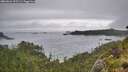 ./images/calvert/foggy-cove/20260626/foggy-cove20260626_155502M.jpg