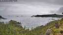 ./images/calvert/foggy-cove/20260626/foggy-cove20260626_161001M.jpg