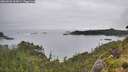 ./images/calvert/foggy-cove/20260626/foggy-cove20260626_162001M.jpg