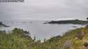 ./images/calvert/foggy-cove/20260626/foggy-cove20260626_162501M.jpg
