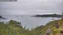 ./images/calvert/foggy-cove/20260626/foggy-cove20260626_163002M.jpg