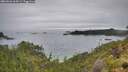 ./images/calvert/foggy-cove/20260626/foggy-cove20260626_164501M.jpg