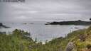 ./images/calvert/foggy-cove/20260626/foggy-cove20260626_165501M.jpg