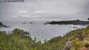 ./images/calvert/foggy-cove/20260626/foggy-cove20260626_170501M.jpg