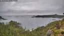 ./images/calvert/foggy-cove/20260626/foggy-cove20260626_172001M.jpg