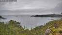 ./images/calvert/foggy-cove/20260626/foggy-cove20260626_172501M.jpg
