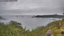 ./images/calvert/foggy-cove/20260626/foggy-cove20260626_173001M.jpg