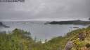 ./images/calvert/foggy-cove/20260626/foggy-cove20260626_173501M.jpg