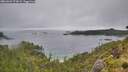 ./images/calvert/foggy-cove/20260626/foggy-cove20260626_174001M.jpg