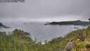 ./images/calvert/foggy-cove/20260626/foggy-cove20260626_181001M.jpg