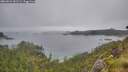 ./images/calvert/foggy-cove/20260626/foggy-cove20260626_182501M.jpg
