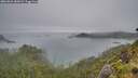 ./images/calvert/foggy-cove/20260626/foggy-cove20260626_185002M.jpg
