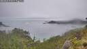 ./images/calvert/foggy-cove/20260626/foggy-cove20260626_191002M.jpg