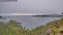 ./images/calvert/foggy-cove/20260626/foggy-cove20260626_211501M.jpg